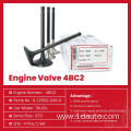 Engine Parts Intake Exhaust Valve for Isuzu 4BC2